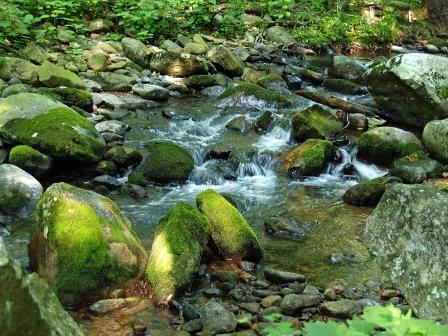 Jones River Rocks