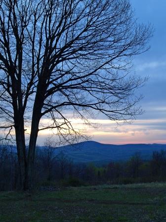 Dawn Along Skyline Drive 