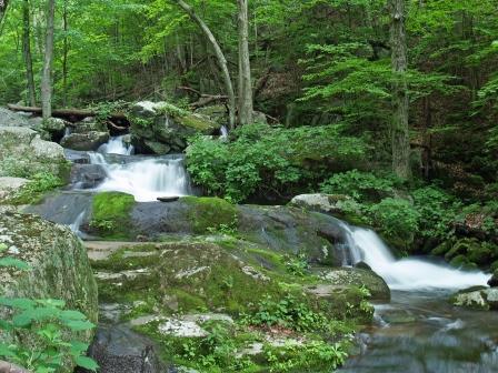 Rose River Falls